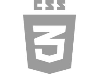 css3